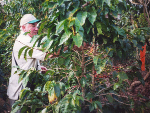 Dave at Santa Elena examining coffee plant