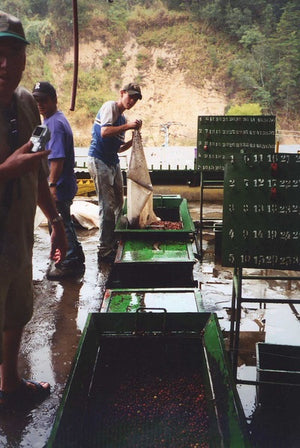 Harvesting process