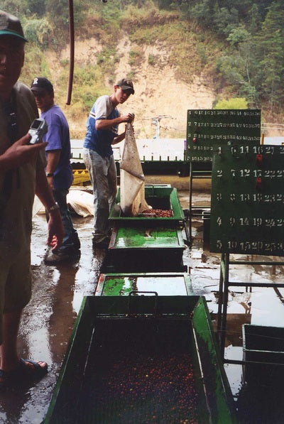 Harvesting Process